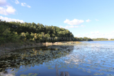 See - Ihr Lieblingsplatz im Grünen – gepflegter Ferienbungalow mit Bootsliegeplatz und eigenem Grundstück